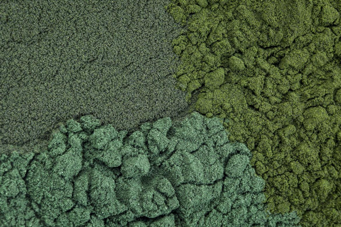 Close up of 3 types of algae powder mixed together. 