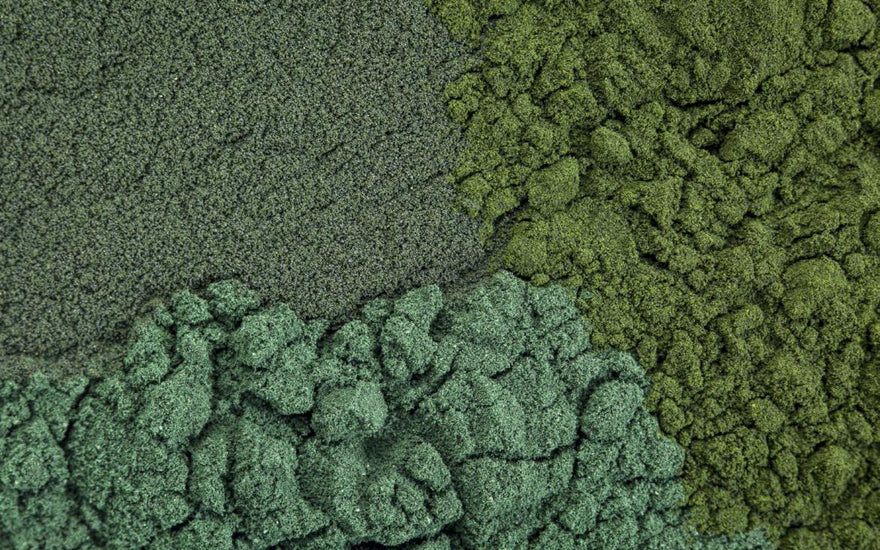 Close up of 3 types of algae powder mixed together. 