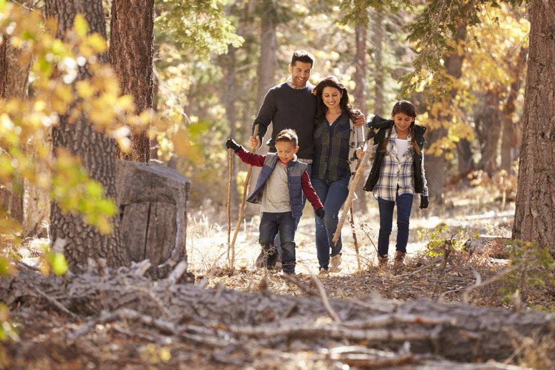 Family of four walking through the autumn woods together.