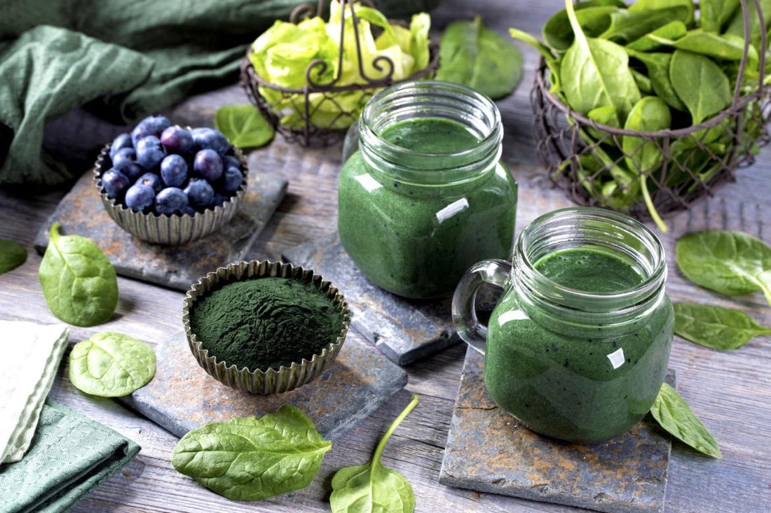 Two green smoothies sitting on a wooden table surrounded by smoothie ingredients like spinach, blueberries, and green algae powder.