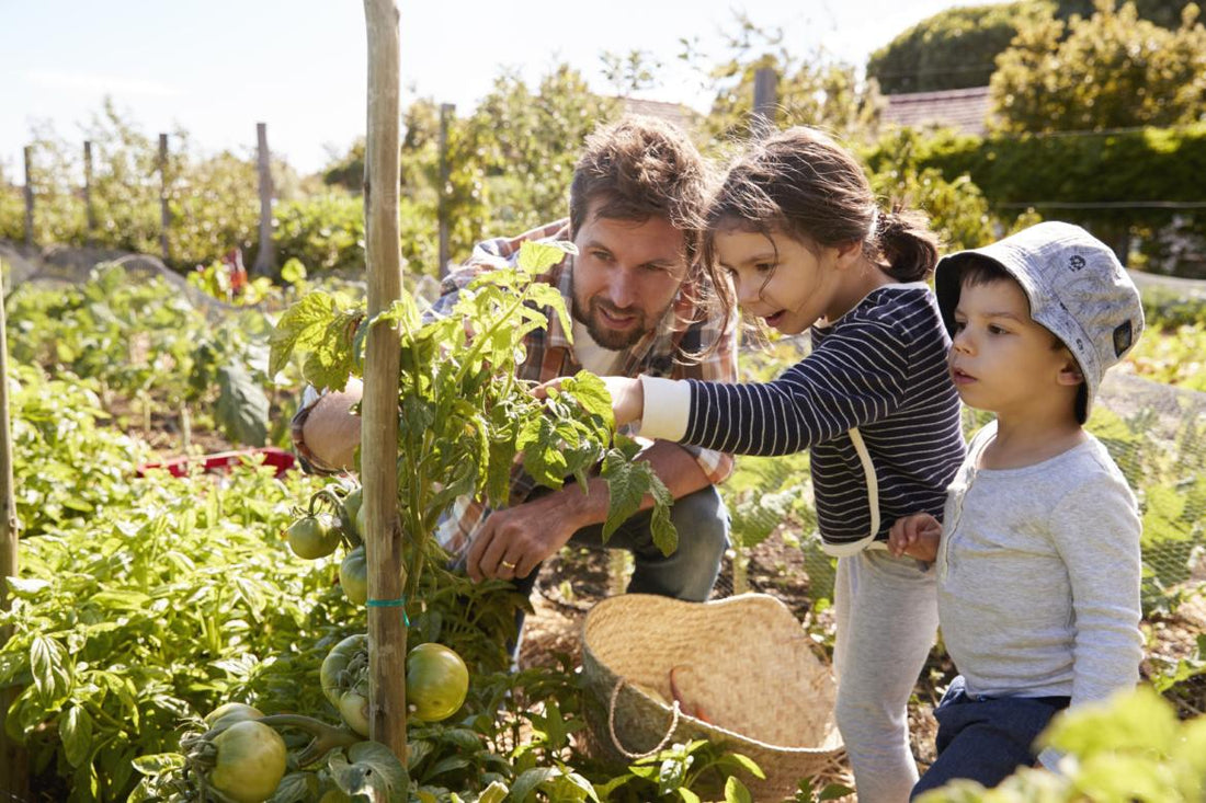 A man and two kids looking at a plant in the garden together.