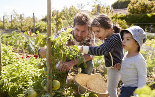 A man and two kids looking at a plant in the garden together.