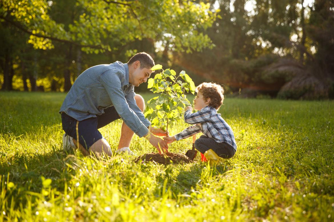 Father and son planting a small tree together.