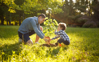 Father and son planting a small tree together.