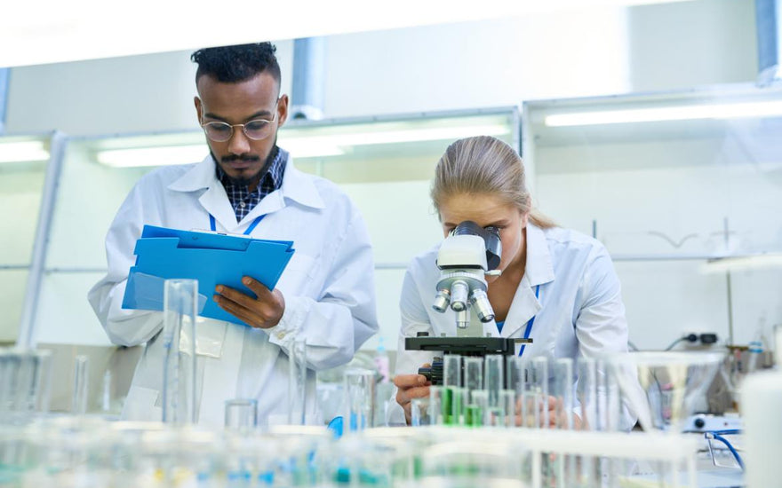 Two scientists working in a lab.