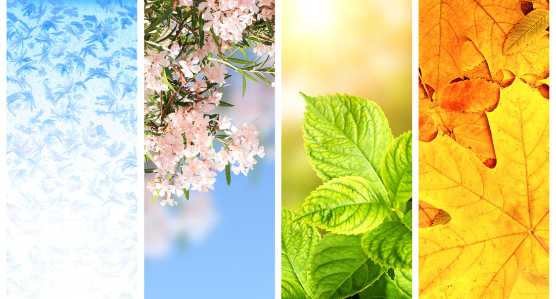 Collage representing the four seasons, with each quarter of the image including a photo of a different season. 