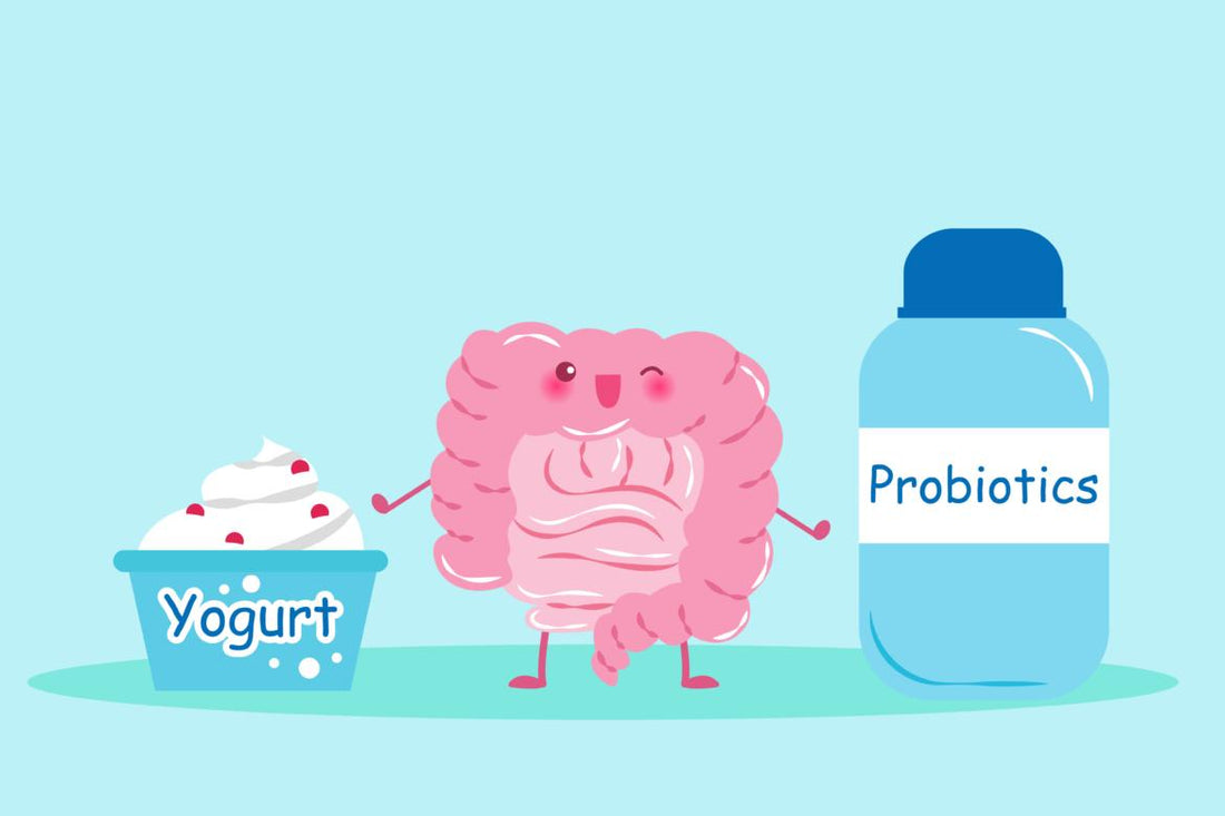 Illustration of a cartoon gut standing next to yogurt and a bottle of probiotics.