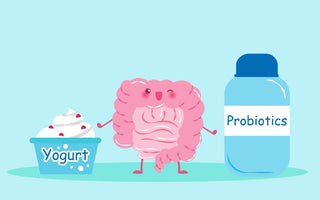 Illustration of a cartoon gut standing next to yogurt and a bottle of probiotics.