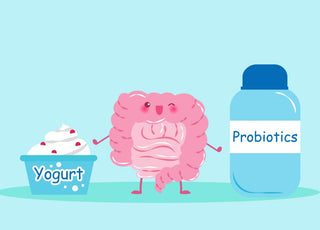 Illustration of a cartoon gut standing next to yogurt and a bottle of probiotics.