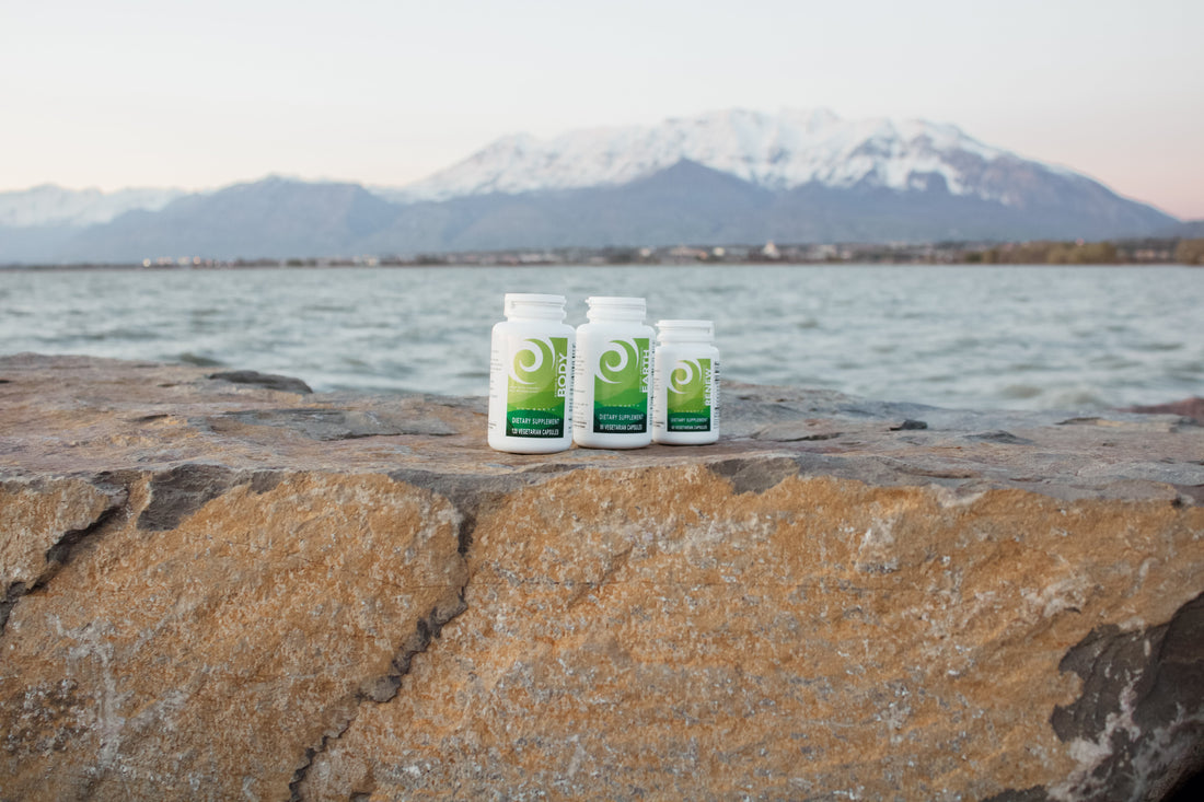 Three New Earth products sitting on a rock in front of a lake. 