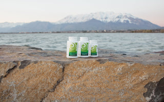 Three New Earth products sitting on a rock in front of a lake. 