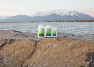 Three New Earth products sitting on a rock in front of a lake. 