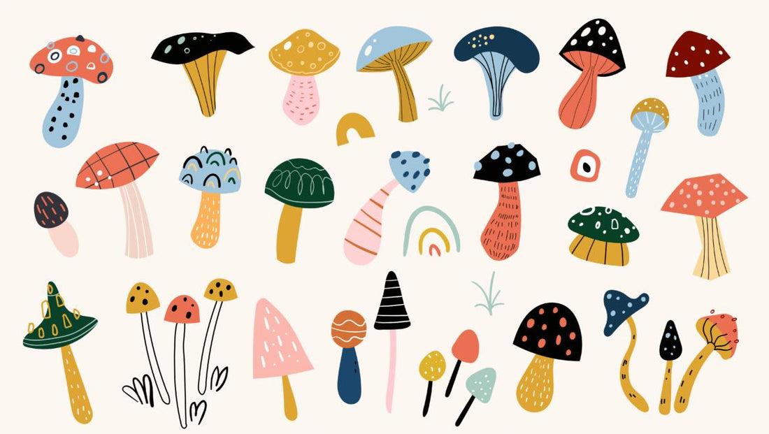 Illustrations of various types of mushrooms depicted in cartoon-style artwork.