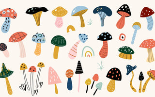 Illustrations of various types of mushrooms depicted in cartoon-style artwork.