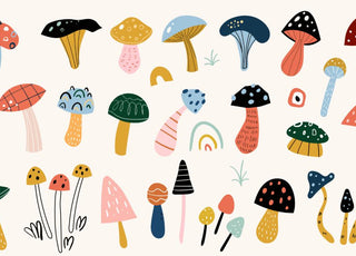 Illustrations of various types of mushrooms depicted in cartoon-style artwork.