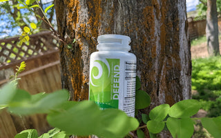 A bottle of New Earth's Defend sitting on a tree branch with green leaves.