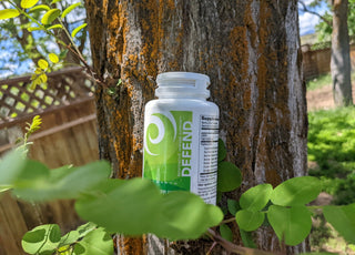 A bottle of New Earth's Defend sitting on a tree branch with green leaves.