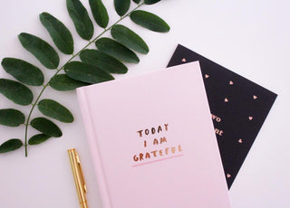 Pink gratitude journal laying on a tabletop next to a gold pen and a piece of greenery from a plant.